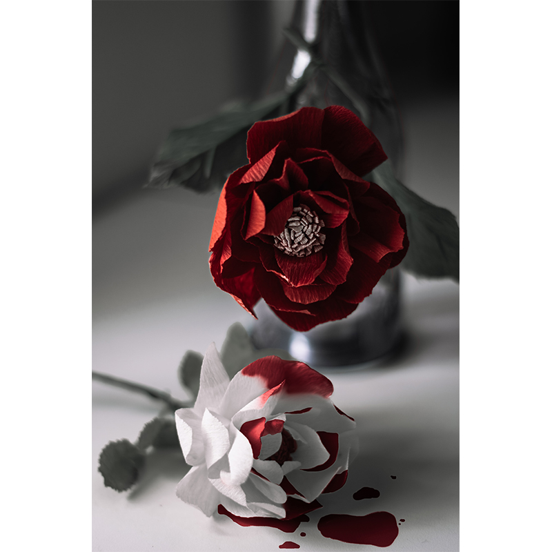 Πίνακας σε καμβά Red and white roses